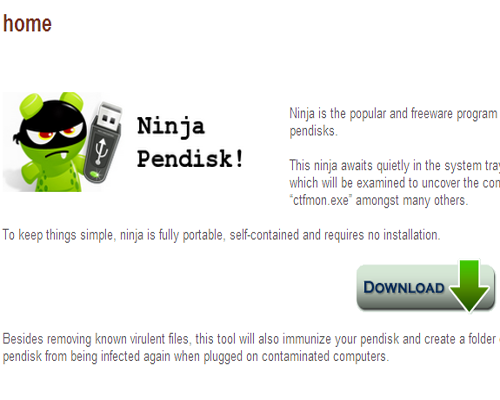 Ninja-Pendisk