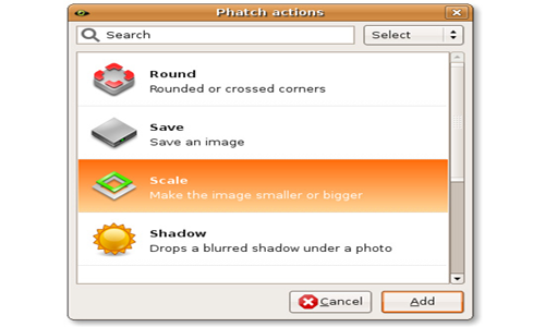 phatch photo batch processor windows