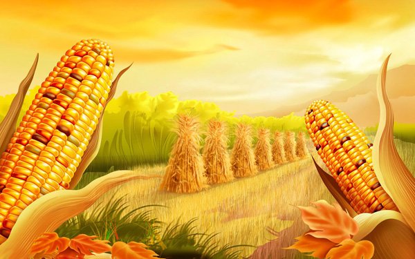 Download Free Desktop 2011 Thanksgiving Wallpaper | Sep 2018 WG