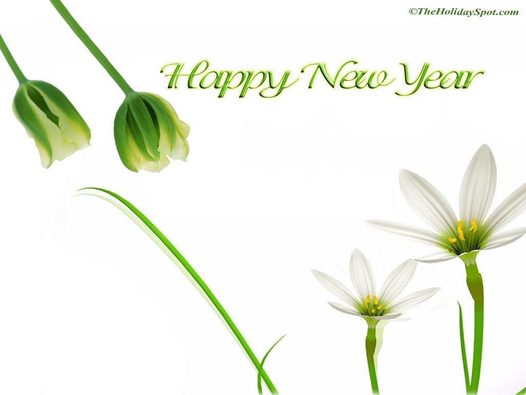 Fresh New Year Desktop Background View Hd Image Of Fresh New Year