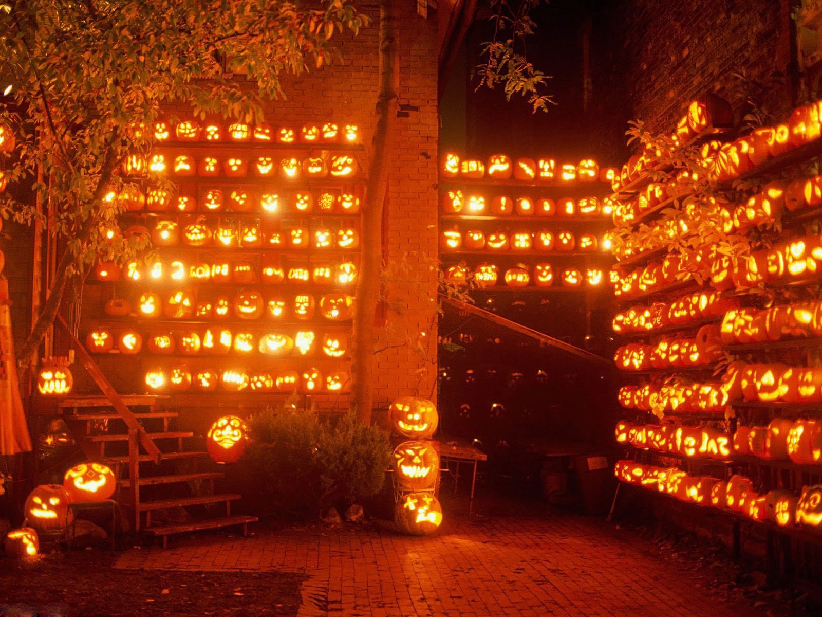 Lightful Halloween Wallpaper: View HD Image of Lightful Halloween ...